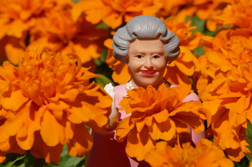 Postkarte Queen Elisabeth II